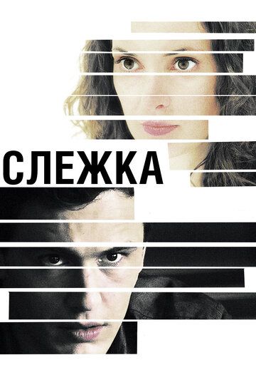 Слежка (2013)