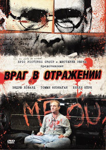 Враг в отражении (2013)