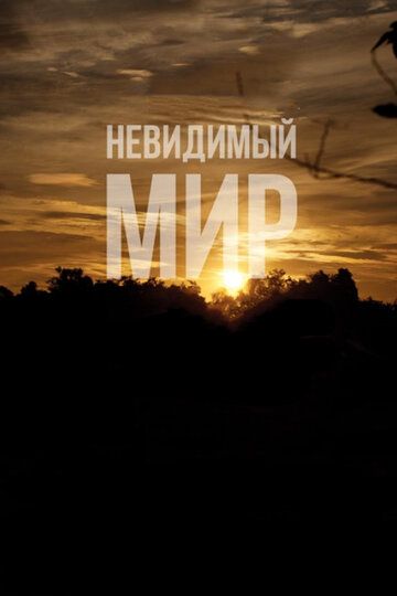 Невидимый мир (2013)